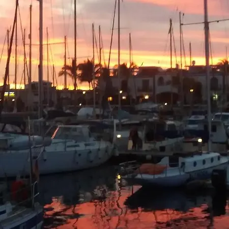 Harbour 11